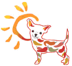 Aye! Chihuahua Logo 2